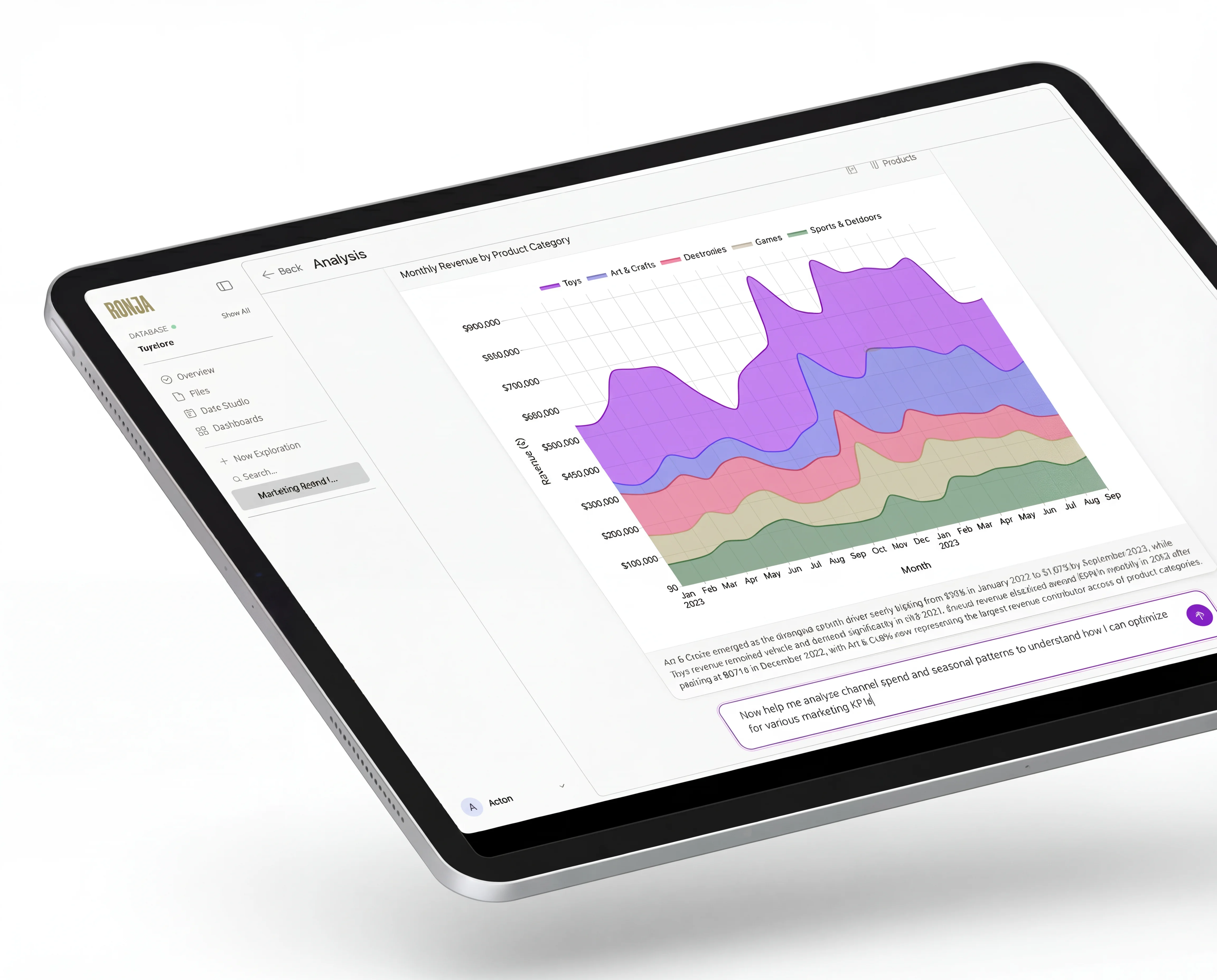 Ronja sales analytics chat