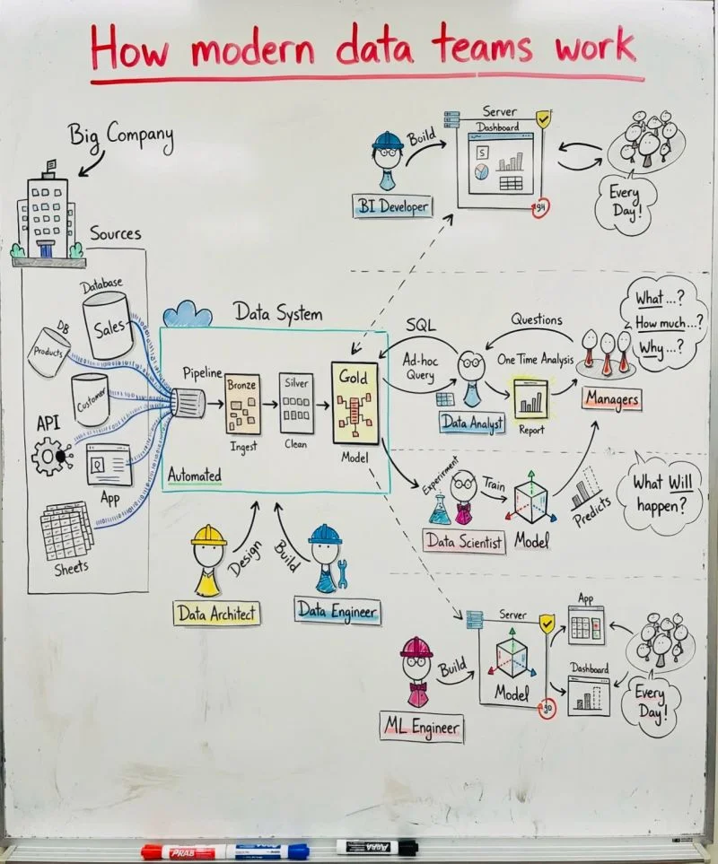 Whiteboard diagram showing the chain of specialists between data sources and business users